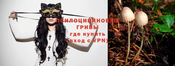 героин Новодвинск