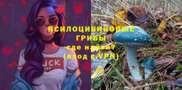 мдма Новозыбков