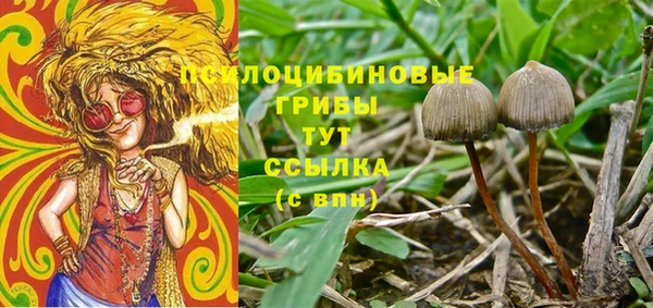 дурь Билибино