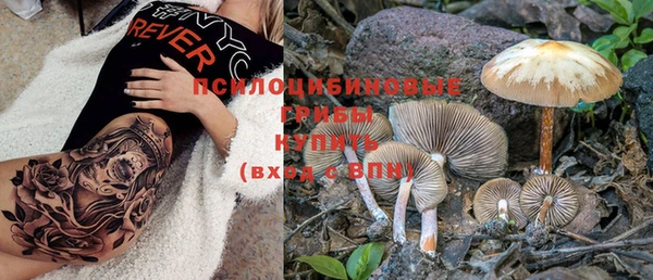 мдма Новозыбков