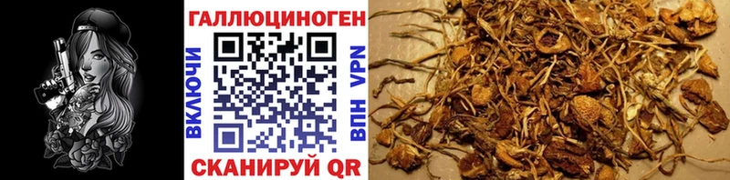 Галлюциногенные грибы MAGIC MUSHROOMS даркнет формула Кирсанов blacksprut