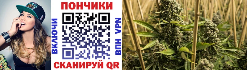 Конопля сатива Кирсанов